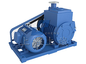 2X型雙級(jí)旋片式真空泵