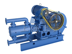 WBl、WB2往復(fù)泵